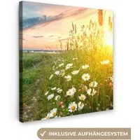 OneMillionCanvasses® Leinwandbild Blumen - Gänseblümchen - Natur - Sonne - Horizont, Fotodruck (1 St), Wandbild, Deko Schlafzimmer Wohnzimmer Flur 20x20 cm