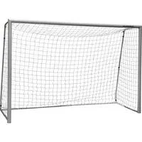 Fußballtor Expert 300 grau