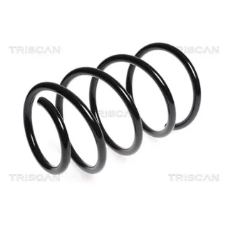 Triscan Feder vorne Kia Ceed Pro 87501840