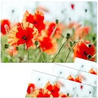 matches21 HOME & HOBBY Platzset Abwaschbare Tischsets 4er Set Sommer Mohn-Blumen, (4-St), Platzsets als Tisch-Untersetzer und Tisch-Deko für Esstisch Teller