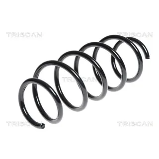 Triscan Feder vorne Ford Fiesta 6 1,6 875016074
