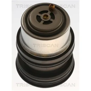 Triscan Thermostat Porsche Cayenne Macan Panamera