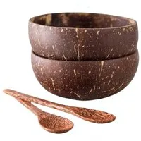 Blusmart Müslischale Kokosnussschalen-Set mit Löffel, 100 % Kokosnussmaterial, (Fischschuppen-Holzlöffel, 2-tlg), 2er-Packung/4er-Packung