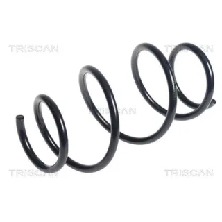 Triscan Feder vorne Nissan Juke