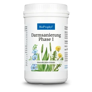 Darmsanierung Phase I