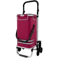 24Move Einkaufstrolley Einkaufstrolley mit 55L, 3in1 Sackkarre und Tasche, klappbar, Sternrad, Handwagen inkl. Kühlfach