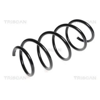 Triscan Feder vorne Mercedes C-Klasse W204 E-Klasse 875023135
