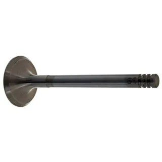 Febi Einlassventil Audi VW 19970 1,6