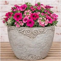 AltoBelli Blumentopf AltoBelli Blumentopf ADELINA Zement Antik Grau Patina 18x17 cm