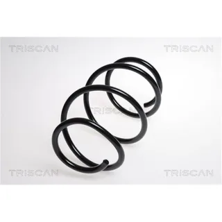 Triscan Feder vorne BMW Z4 87501193