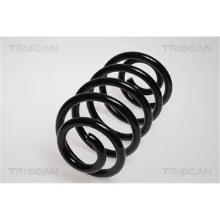Triscan Feder hinten Mercedes Viano Vito 87502396