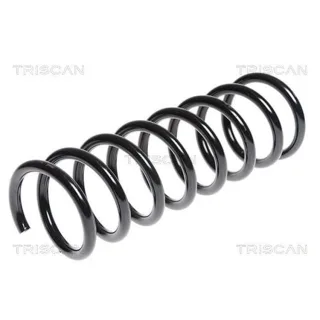 Triscan Feder hinten Ford Focus 2 2,0