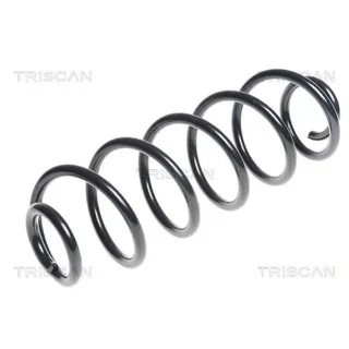 Triscan Feder hinten Audi A4 A6 875029271