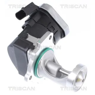 Triscan AGR-Ventil Seat Alhambra VW Sharan 2,0