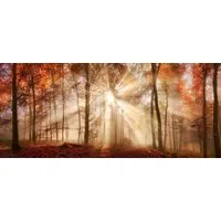Bönninghoff Leinwandbild Wandbild HERBSTWALD XXL 60x140 cm – Leinwandbild Keilrahmen Deko, Wald (1 St), auf Keilrahmen gespannt