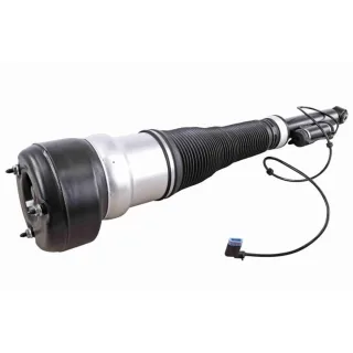 Vemo Luftfederbein hinten links Mercedes S-Klasse W221