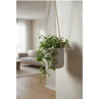 finestgreen Blumenampel Hanging Charlie, Frostfest & UV-beständig – für Innen- und Außenbereich