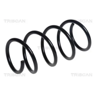 Triscan Feder vorne Audi A3 8V 875029474