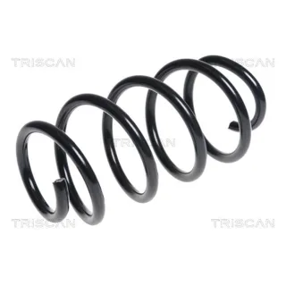 Triscan Feder vorne Seat Alhambra VW Sharan 875029367