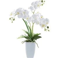 Kunstblume Kunstpflanze Orchidee in eleganter Vase, ca. 60 cm, Dahlia Studios
