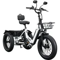 Remington E-Bike Dreirad R100, 7 Gang Shimano TY300 Schaltwerk, Kettenschaltung, Heckmotor, 468 Wh, E Bike Elektro Dreirad 20 Zoll Elektrodreirad 2 Akkus 120km