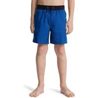 Quiksilver Badeshorts Everyday Holmes Volley 16"