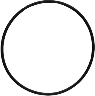 KS Tools O-Ring - 515.1625-R014P