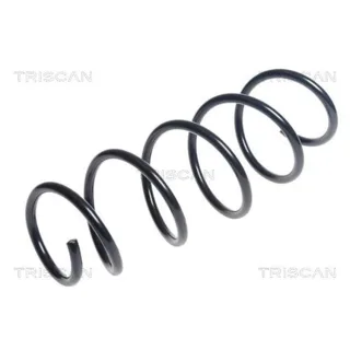 Triscan Feder vorne Fiat Panda 312