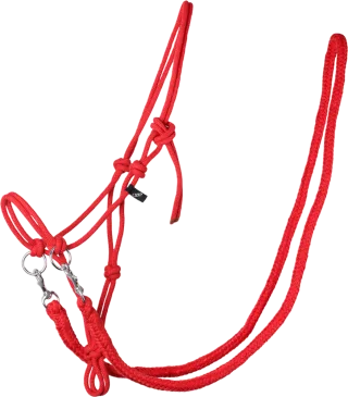 Knotenhalfter mit Zügeln