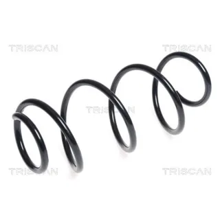 Triscan Feder vorne Renault Clio Modus 875025113
