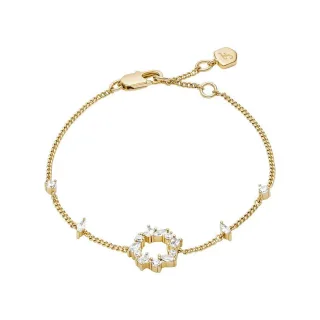 Fossil Armband ELLIS JA7296710