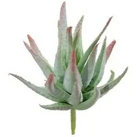 Kunstpflanze Deko Agave decipiens KIANE, Steckstab, grün-grau-rot, 10cm Agave (Agave decipiens), artplants, Höhe 10.0 cm
