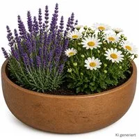 MamboCat Dekoschale Ethan Pflanzschale Größe: M Bronze Ø 29 cm Blumen Pflanzen