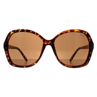 Atum Aelius C2 glÃ¤nzende havannabraune Sonnenbrille mit Farbverlauf
