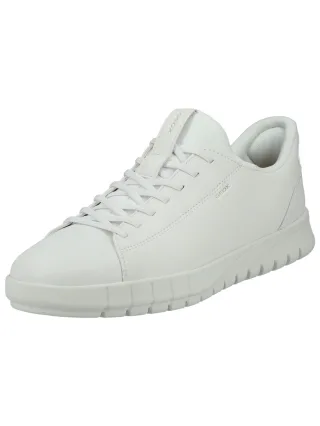 Geox Sneaker "Geox Sneaker Leder"