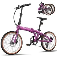 RCB Faltrad GK4 doppelt faltbares Fahrrad,20Zoll Klapprad für Damen&Herren,Pendler