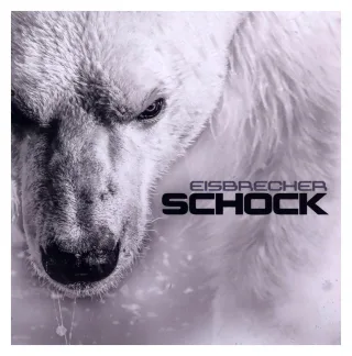 Schock [Audio CD] Eisbrecher