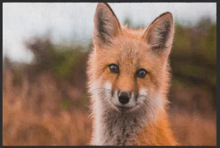 Fussmatte Fuchs 4513 | Größe: 60 cm x 45 cm