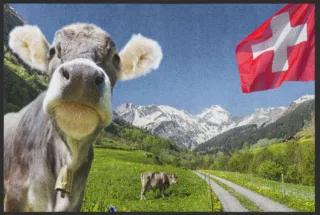 Fussmatte Schweiz 4506 | Größe: 60 cm x 45 cm