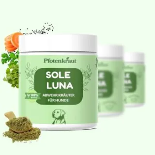 Pfotenkraut SOLE LUNA