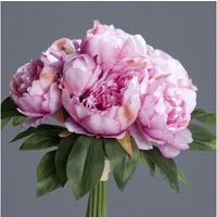 Kunstblume Pfingstrosenbund mit 8 Blüten 36cm DP künstliche Päonie Strauß Pfingstrose, Seidenblumen Roß, Höhe 36 cm, Rosa-Pink