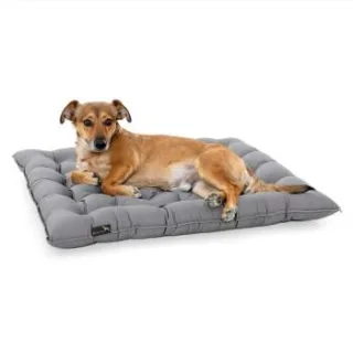 Doctor Bark Pointer Urban Kissen hellgrau XL