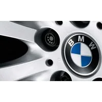 BMW Schrauben-Set Original BMW Felgenschloss-Set M14x1,25 für BMW F-Modelle 36136776076, (1 St)