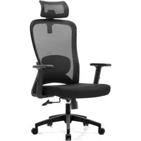 Ergolutions Bürostuhl ergonomisch LINO Schreibtischstuhl, 5 Jahre Garantie / Lumbalstütze / 120 kg Traglast / weiche Rollen