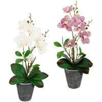 Kunstpflanze Orchidee, I.GE.A., Höhe 40 cm, Mit Blättern und Luftwurzeln, im Topf aus Keramik, 2er Set