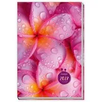 Trötsch Verlag Taschenkalender TRÖTSCH - Taschenkalender A6 Flowers 2027