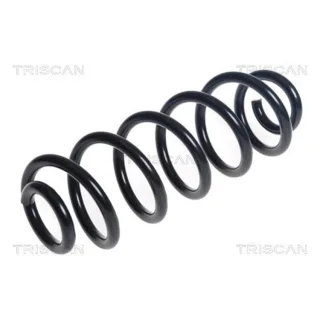 Triscan Feder hinten Audi A4 B9 875029496