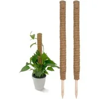 Spetebo Rankhilfe Kokos Rankstab natur - 2 / 4 Stück - Pflanzstab für Zimmerpflanzen Set, 1 St., Rankstab für Zimmerfplanzen, Holz Rankhilfe aus Kokosfaser
