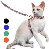 Supet Katzen-Halsband Ausbruchsicheres Katzengeschirr mit Leine für kleine und große Katzen