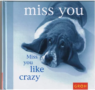 Miss you like crazy